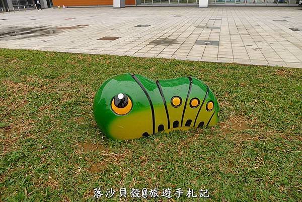 小黑狗 (10).JPG