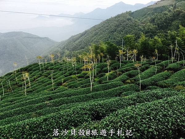 大崙山．樟空倫山步道 (14)_調整大小.JPG