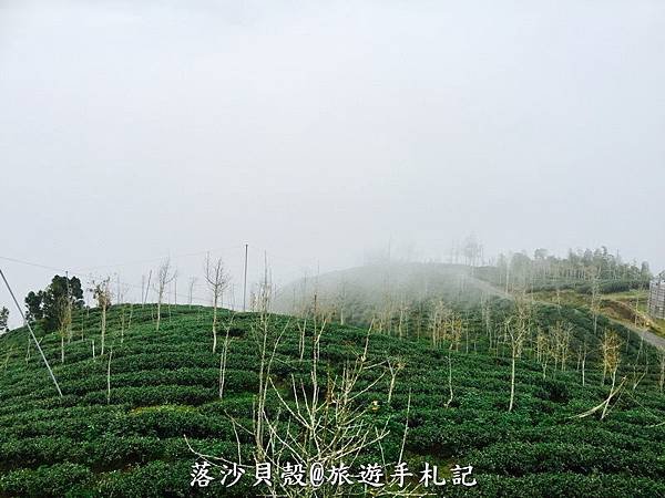 大崙山．樟空倫山步道 (20)_調整大小.JPG