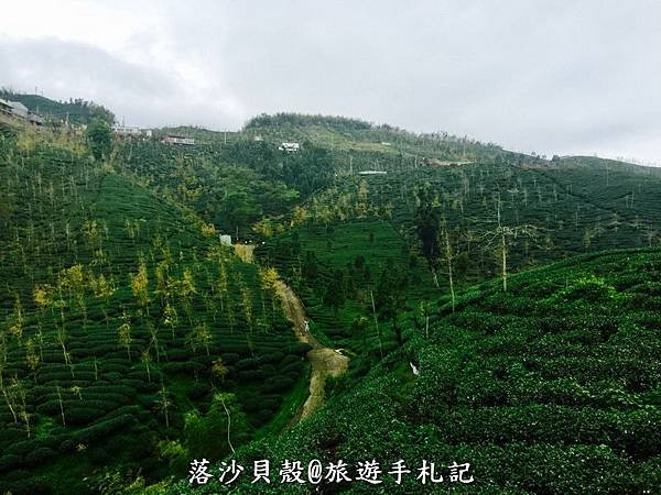 大崙山．樟空倫山步道 (17)_調整大小.JPG