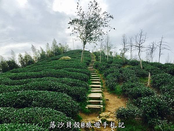 大崙山．樟空倫山步道。 (8)_調整大小.JPG