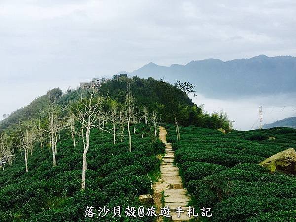 大崙山．樟空倫山步道。 (10)_調整大小.JPG