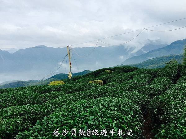 大崙山．樟空倫山步道。 (9)_調整大小.JPG