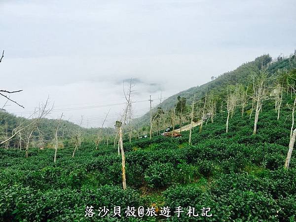 大崙山．樟空倫山步道。 (11)_調整大小.JPG