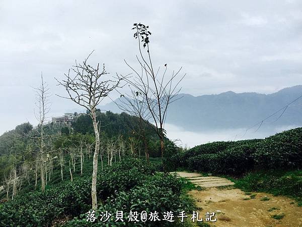 大崙山．樟空倫山步道。 (14)_調整大小.JPG