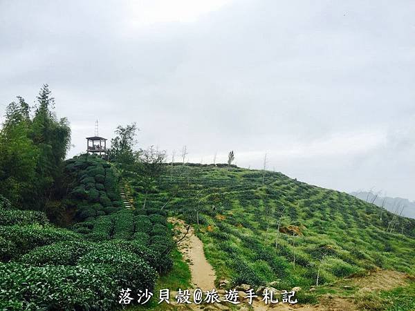 大崙山．樟空倫山步道。 (17)_調整大小.JPG