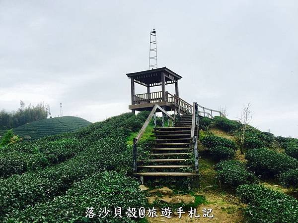 大崙山．樟空倫山步道。 (23)_調整大小.JPG