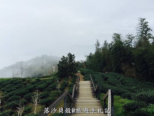 大崙山．樟空倫山步道。 (28)_調整大小.JPG