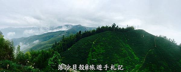 大崙山．樟空倫山步道。 (30)_調整大小.JPG