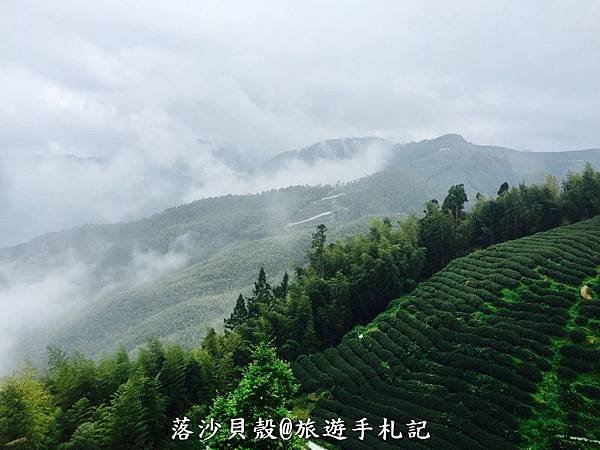 大崙山．樟空倫山步道。 (32)_調整大小.JPG