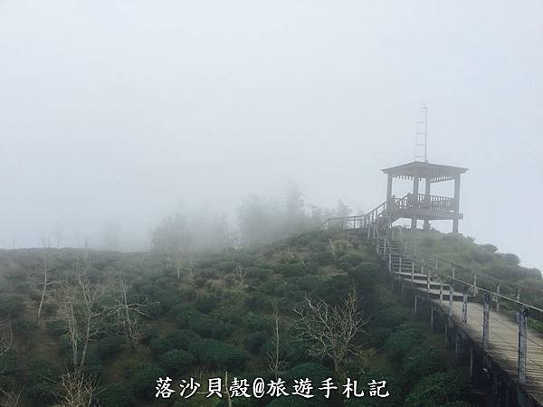 大崙山．樟空倫山步道。 (45)_調整大小.JPG