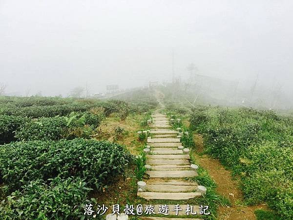 大崙山．樟空倫山步道。 (56)_調整大小.JPG