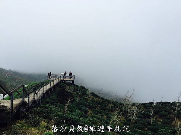 大崙山．樟空倫山步道。 (50)_調整大小.JPG