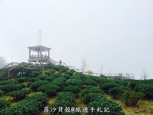 大崙山．樟空倫山步道。 (55)_調整大小.JPG