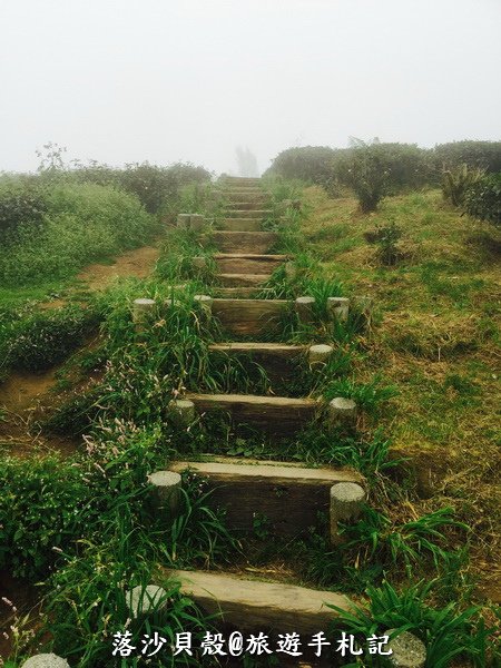 大崙山．樟空倫山步道。 (62)_調整大小.JPG