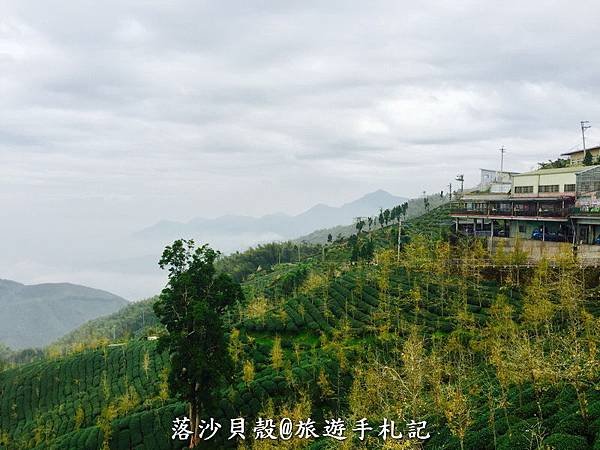 大崙山．樟空倫山步道。 (83)_調整大小.JPG