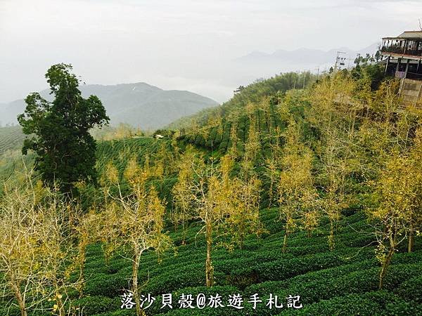 大崙山．樟空倫山步道。 (82)_調整大小.JPG