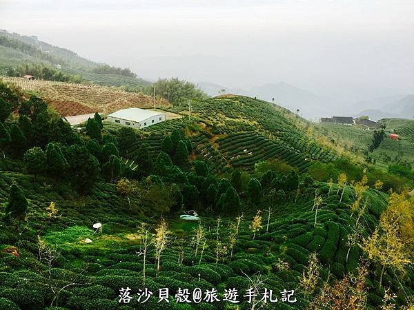 大崙山．樟空倫山步道。 (89)_調整大小.JPG