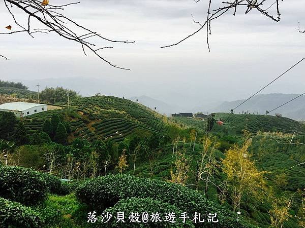 大崙山．樟空倫山步道。 (105)_調整大小.JPG