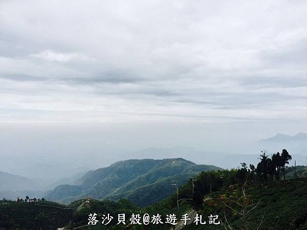 大崙山．樟空倫山步道。 (112)_調整大小.JPG