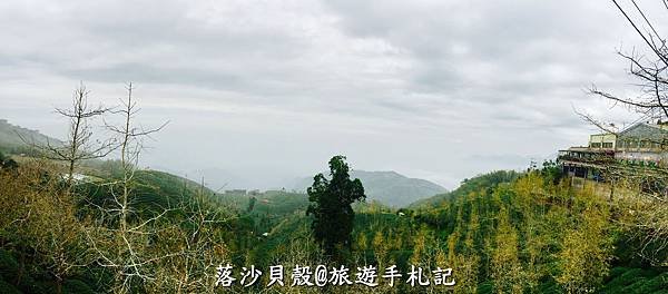 大崙山．樟空倫山步道。 (81).JPG