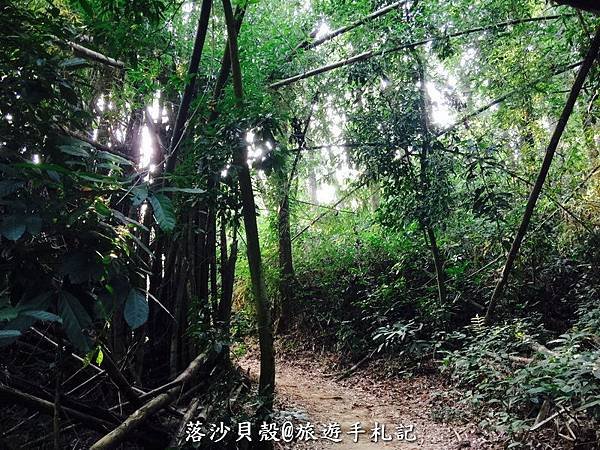 台南_新化植物園 2017.02.15 前維護中不收費。但真的有點老舊了。 (11).jpeg