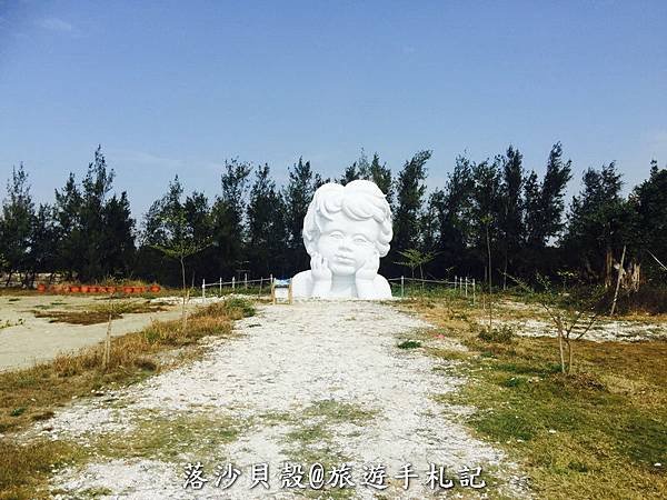 台南_七股_鹽山出現巨大貓頭鷹 (26).jpeg