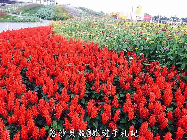 屏東_長治_2017屏東熱帶農業博覽會．彩繪稻田（惡靈古堡最終章）．玉米田迷宮．騎馬100元．親子樂園 (118).jpg