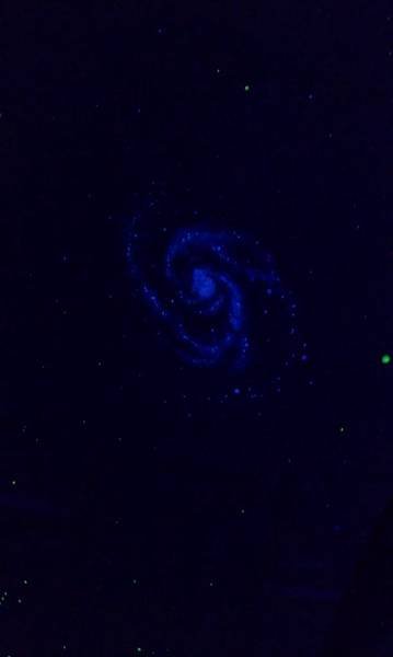 IMAG0091.jpg