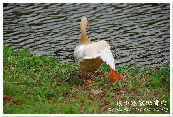 DSC_6906.jpg