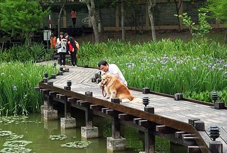 南投集集、水里