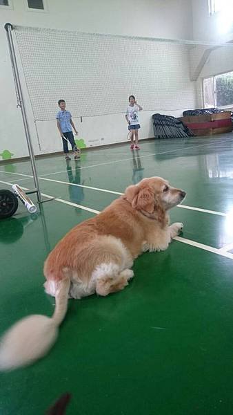 004 布痞打羽球.jpg