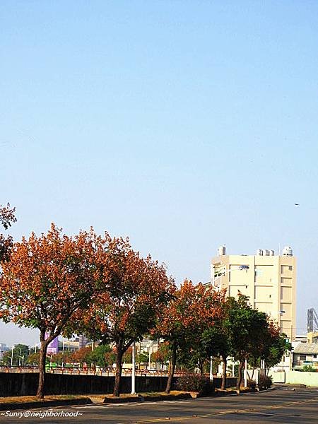 IMG_3229_副本.jpg