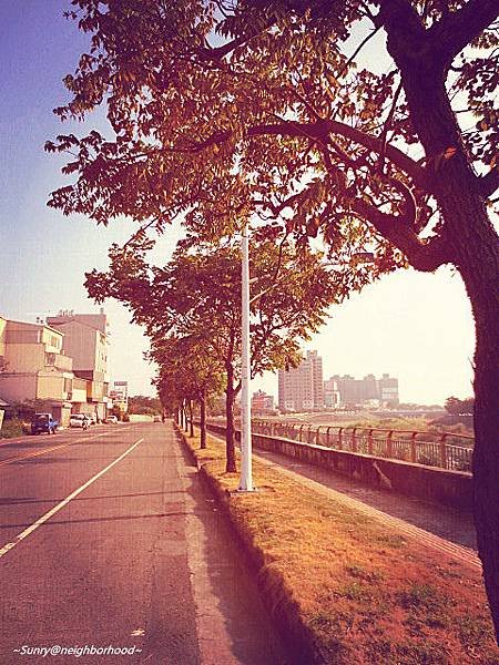 IMG_3201_副本2.jpg