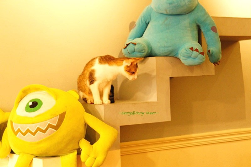 DSC08553.JPG