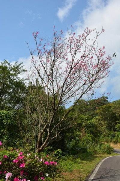 15593dfa83017d.jpg