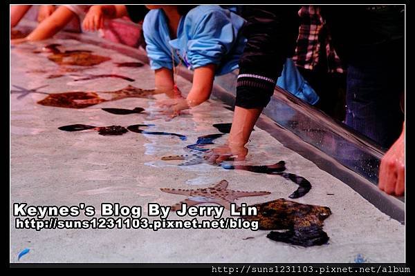 20130406沖繩沖繩美海水族館 (6)