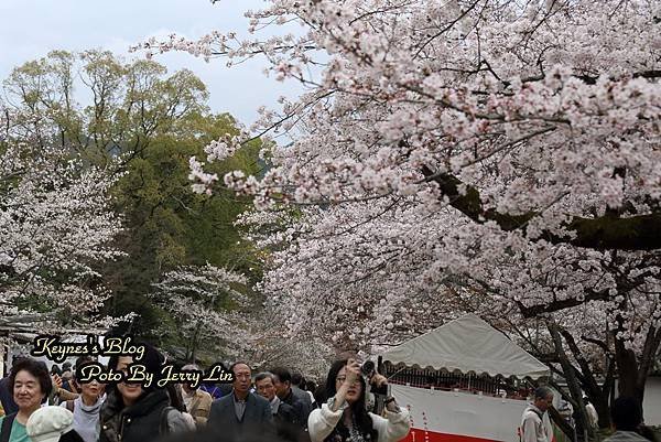 20160403醍醐寺第一篇 (17).JPG