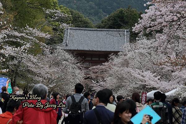 20160403醍醐寺第一篇 (18).JPG