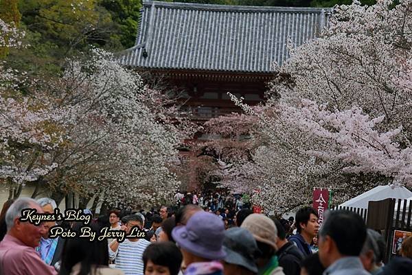 20160403醍醐寺第一篇 (21).JPG