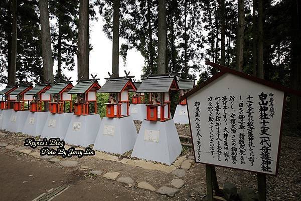 20161010白山神社 (4).JPG