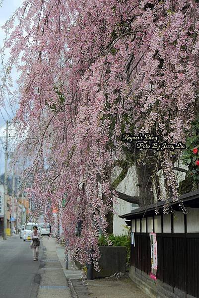 20170427角館 (16).JPG