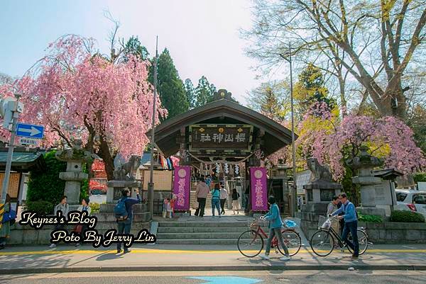 20170430櫻出 (11).JPG