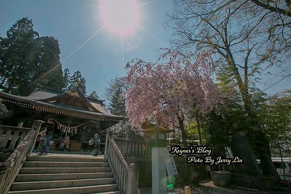 20170430櫻出 (15).JPG