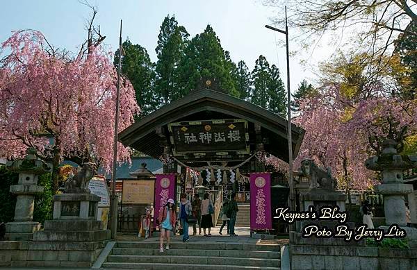 20170430櫻出 (3).JPG