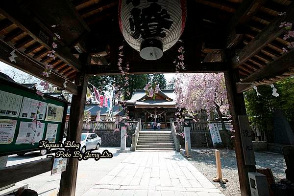 20170430櫻出 (14).JPG