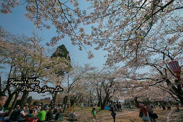 20170430盛岡城跡公園(岩手公園) (4).JPG