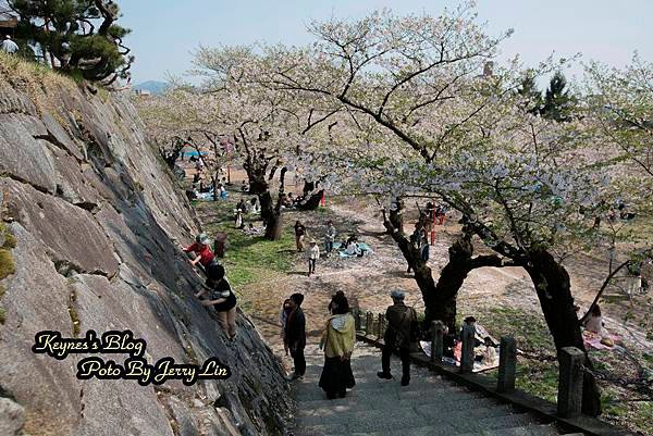 20170430盛岡城跡公園(岩手公園) (2).JPG