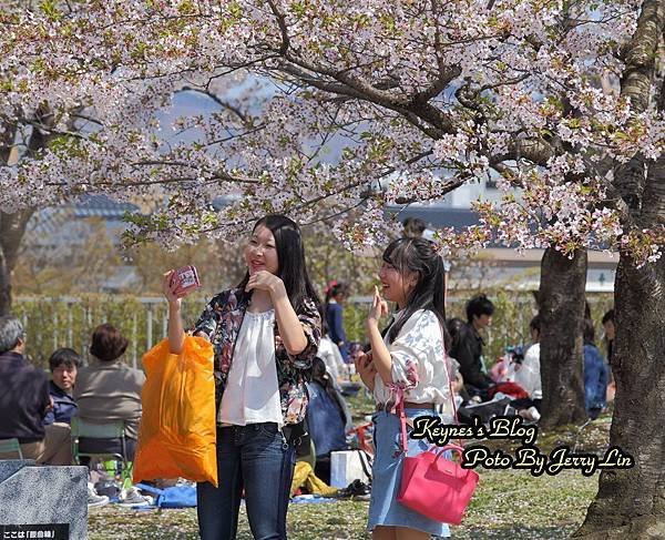 20170430盛岡城跡公園(岩手公園) (9).JPG