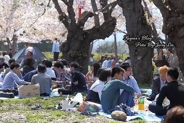 20170430盛岡城跡公園(岩手公園) (13).JPG